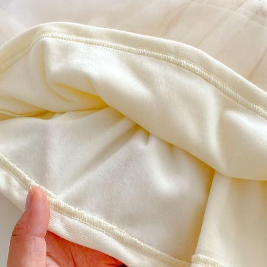 【韩国洋气加厚公主裙】女童0-6岁童装女宝宝天鹅连衣裙儿童裙子 商品图3