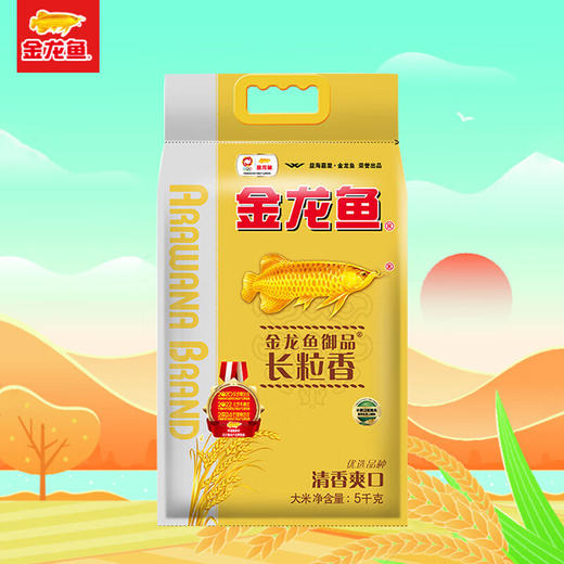 金龙鱼 御品长粒香东北大米家用大米清香爽口煮粥蒸米饭 5kg 商品图2