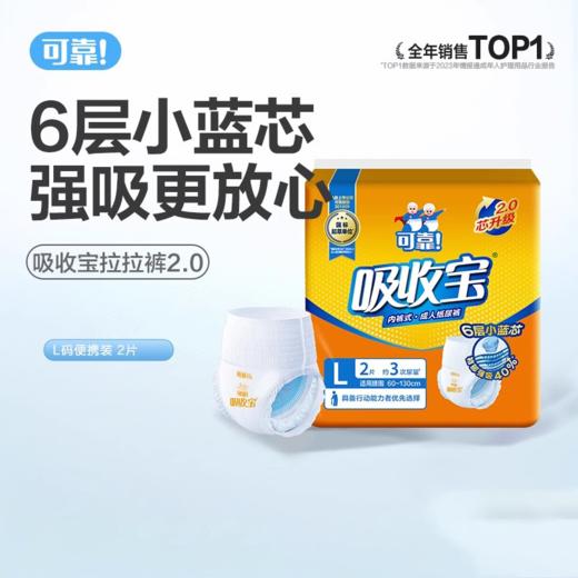 【活动奖品】吸收宝2.0通用型纸尿裤/拉拉裤L码 2片试用装 商品图0