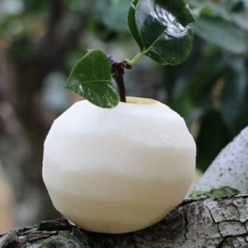 [最农公社]山东秋月梨4.5斤大果7-9个特大果4-6个