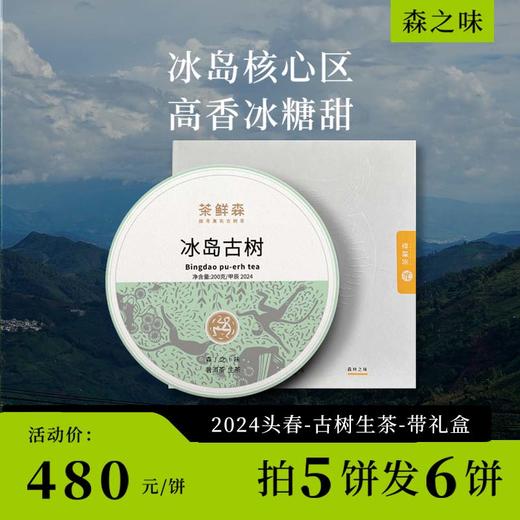 2024 冰岛古树 森之味 春茶现货 整提9折 拍5发6 普洱茶 生茶 200g饼 商品图0