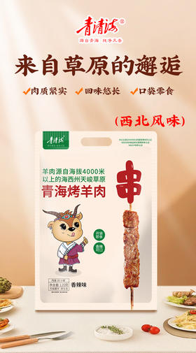 青海烤羊肉串 120g/袋 孜然味香辣味2种口味