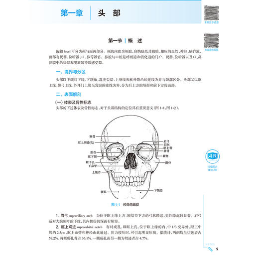 局部解剖学 第10版 局部解剖学的学习目的和学习方法 解剖器械的准备和使用 面部浅层结构 解剖面部 人民卫生出版社9787117366823 商品图2