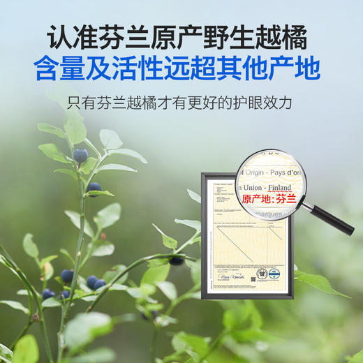 HYLLERS有机野生越橘粉 商品图5