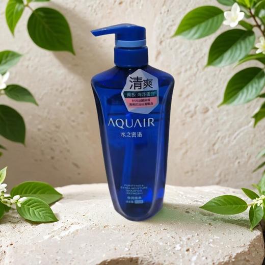 水之密语净润臻养洗发露(倍润型) 600ml/瓶 商品图0