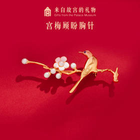 【故宫饰品】宫梅顾盼高档女胸针防走光扣生日闺蜜礼物