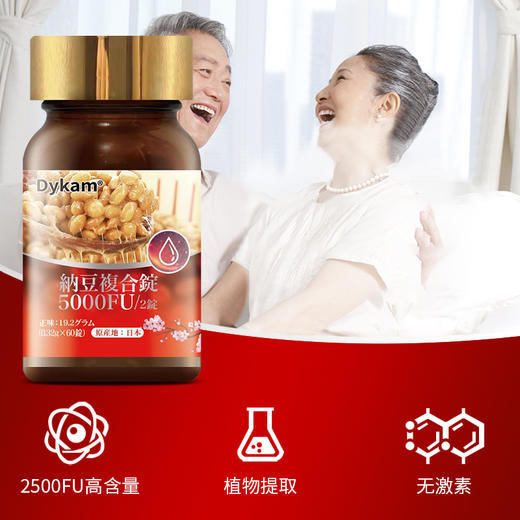 Dykam迪卡姆纳豆复合片0.32g*60粒/瓶 商品图1