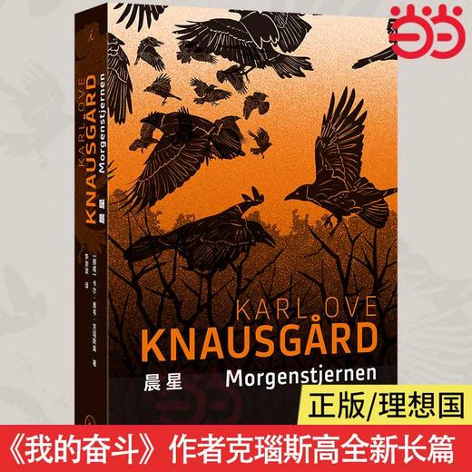 晨星(【挪威】卡尔·奥韦·克瑙斯高 著) 商品图1
