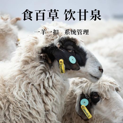 【YCC】宁夏盐池滩羊礼品卡 商品图4