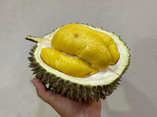 马来西亚✈️直发的鲜果猫山王 味道更来劲的D197鲜猫 商品图0