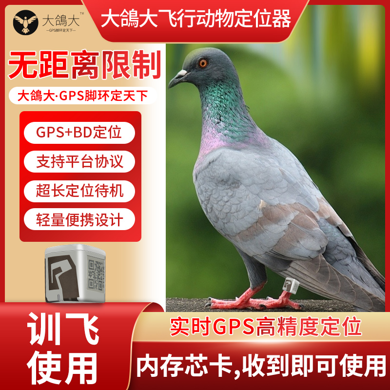 革泰品宁鸽子定位器防丢失GPS北斗追踪器动物定位鸟类飞禽定位j