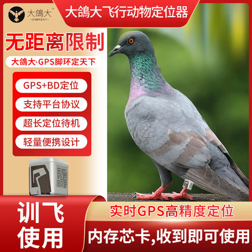 革泰品宁鸽子定位器防丢失GPS北斗追踪器动物定位鸟类飞禽定位j 商品图0