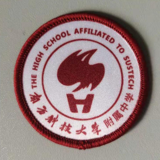 深圳南方科技大学附属中学圆形校徽（运动服） 商品图0