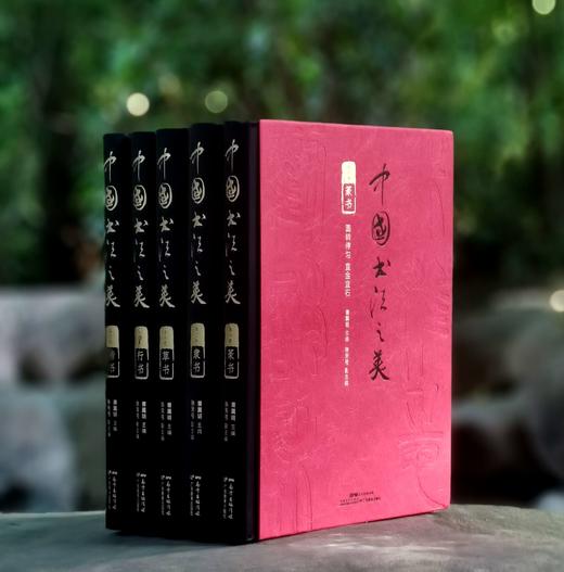 《中国书法之美》，精装16开，全5册，唐翼明主编，张天弓副主编，广东教育出版社2022年版，定价570，售价188元。 商品图1