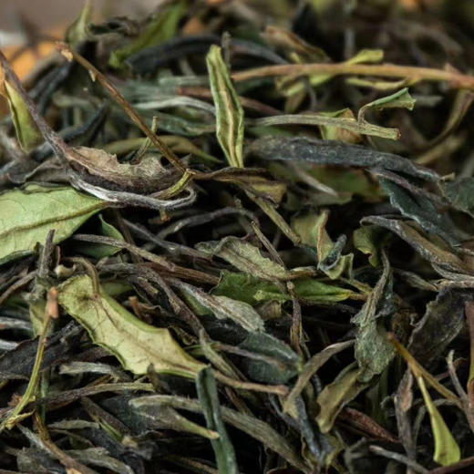 2024 南坑小白茶| 建阳漳墩 菜茶 特级贡眉  非遗传承人李泉弟  口感甘甜，花香优雅 商品图1