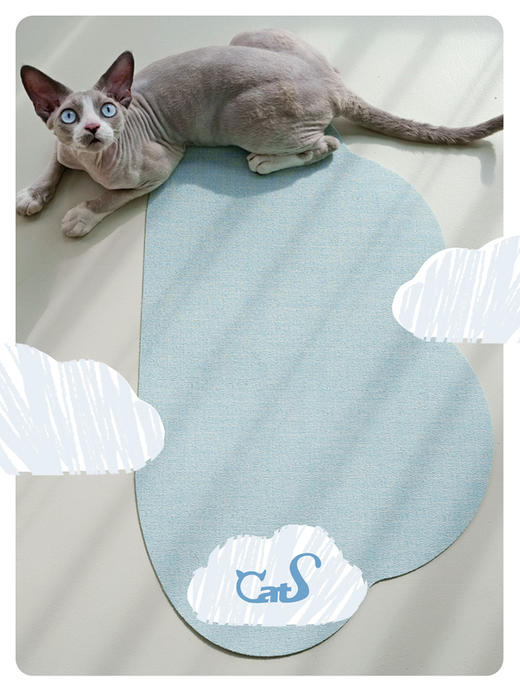 CatS独家 一朵云 凉席地垫餐垫睡垫凉垫 商品图2