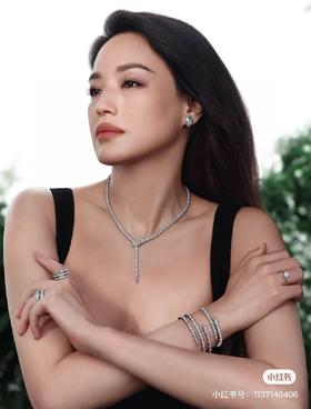 B家 蛇形满钻项链 手镯 戒指