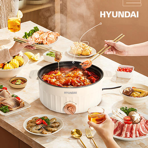 HYUNDAI多功能电火锅 商品图2