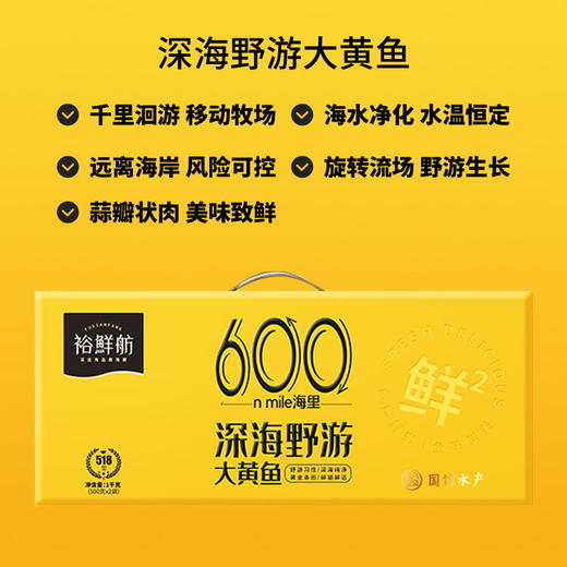 裕鲜舫 600海里大黄鱼礼盒 大黄鱼原条500g*2条礼盒 1kg 商品图3