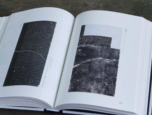 《中国书法之美》，精装16开，全5册，唐翼明主编，张天弓副主编，广东教育出版社2022年版，定价570，售价188元。 商品图13