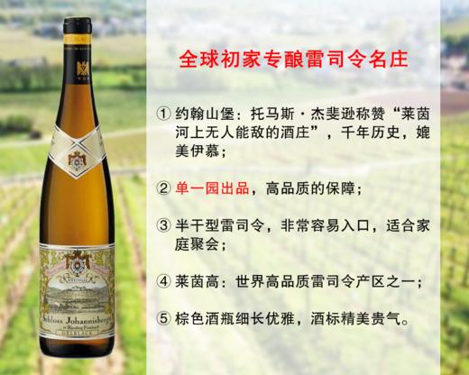 【现货清仓，清完无补】酒庄直出老年份｜德国鼎尖大名家：约翰山堡单一独占园雷司令半干白（2016年） 商品图0