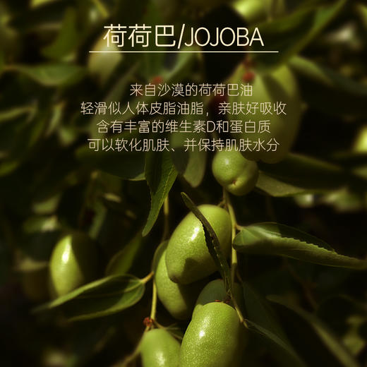 【双12大促】嘉媚乐荷荷巴油  保湿卸妆  清洁污垢  以油溶黑头  告别“草莓鼻”   面部基础精油 商品图5