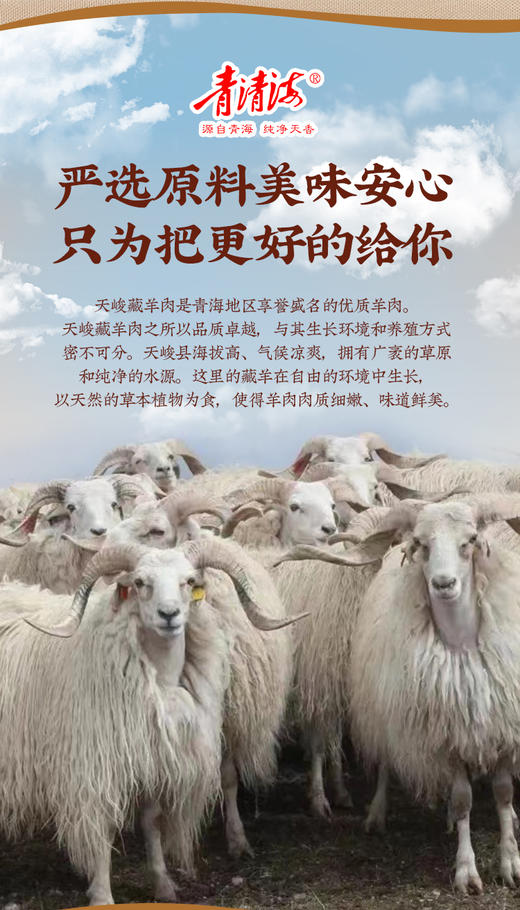 青海烤羊肉串 120g/袋 孜然味香辣味2种口味 商品图1