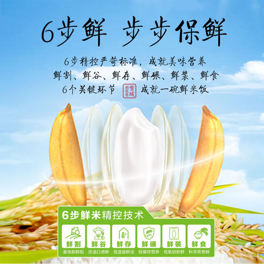 金龙鱼 稻谷鲜生六步鲜雪域稻花香米东北大米自然鲜香香软弹滑 5kg 商品图3
