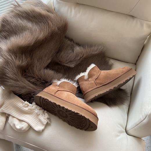 ??栗子棕  【 厚底款 】 UGG周冬雨同款??mini迷你小V口 商品图8