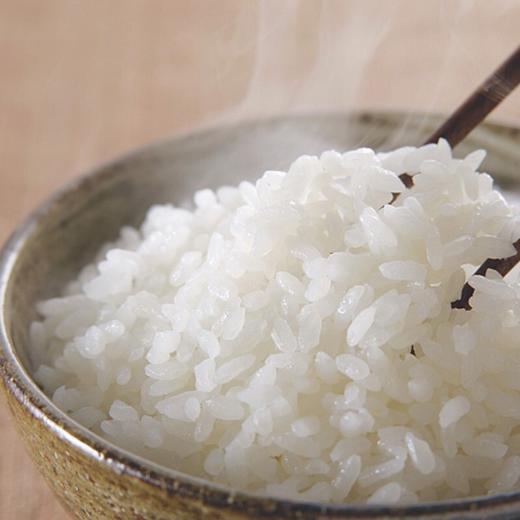 金龙鱼 御品珍珠米东北大米家庭装煮粥蒸米饭专用大米粳米 5kg 商品图8