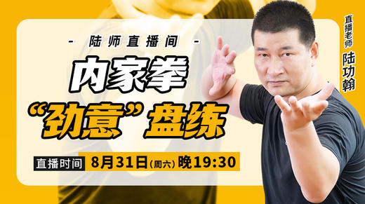 【8月31日】内家拳“劲意”盘练 商品图0