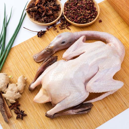 【缙云】600天高山散养缙云麻鸭1kg/只（净膛，一只装/两只装可选） 商品图1