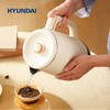 HYUNDAI智能双层恒温电热水壶 商品缩略图3