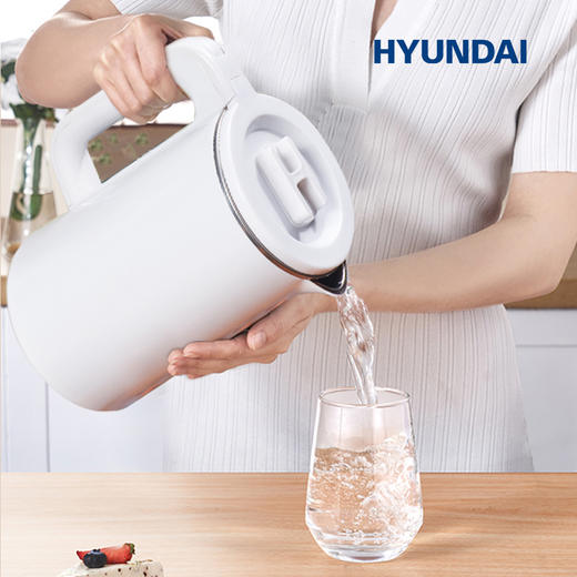 HYUNDAI双层不锈钢电热水壶 商品图2