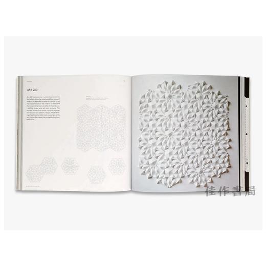 Unfolding: The Paper Art and Science of Matthew Shlian / 揭秘：马修·希利安的纸艺与科学 商品图4