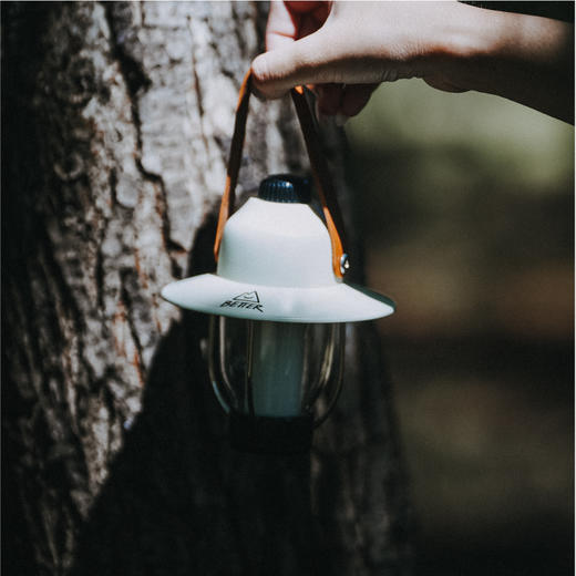 野营系列带支架野营灯 商品图1