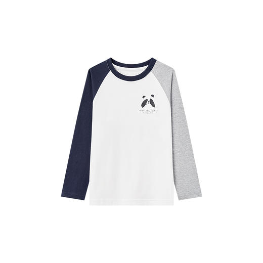 【团购价29.9-39.9】多多家 男童长袖T恤春秋款2024新款儿童熊猫纯棉秋装打底衫上衣9664 商品图3