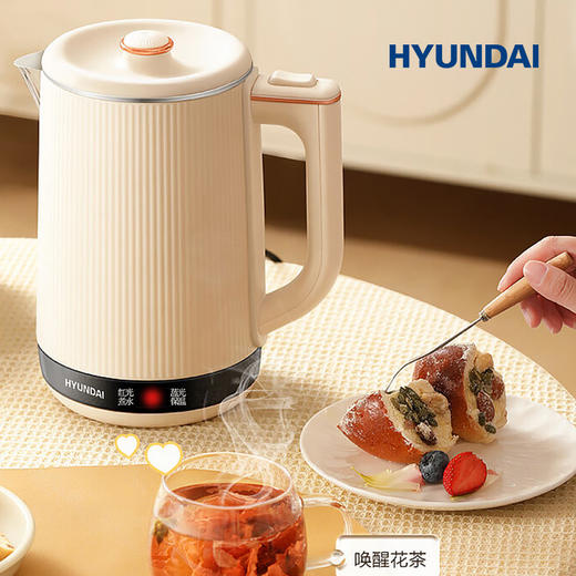 HYUNDAI智能双层恒温电热水壶 商品图1