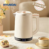 HYUNDAI智能双层恒温电热水壶 商品缩略图0