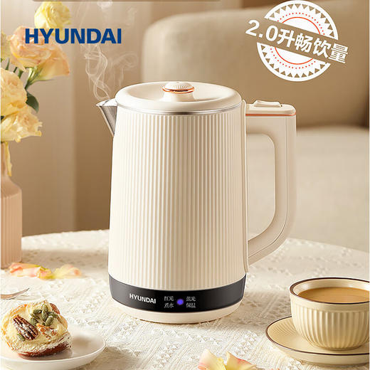 HYUNDAI智能双层恒温电热水壶 商品图0