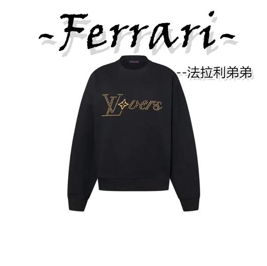 驴家  2024FW 金属铜质烫珠刺绣卫衣 （具体尺码请联系客服哦） 商品图0