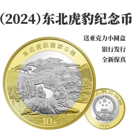 【9月中发货】2024东北虎豹普通纪念币 商品图8