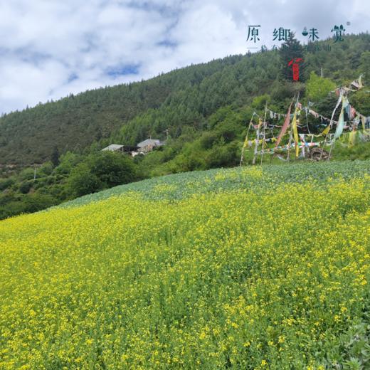 生态鲜麻花椒油（成都仓库-顺丰快递 ）| 249ml/瓶，来自阿坝小金，生产者：牧云坡可信合作社【合作生产，公平贸易】 商品图3