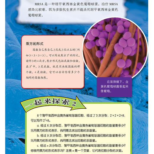 “新数学阅读”丛书（6套共48册，每小套装/8本） 商品图12