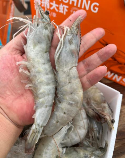 南美白虾﻿海捕大虾  虾肉饱满 肉质鲜嫩 爽滑弹牙 30-40头/3斤/盒 商品图2