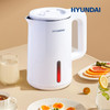 HYUNDAI双层不锈钢电热水壶 商品缩略图3