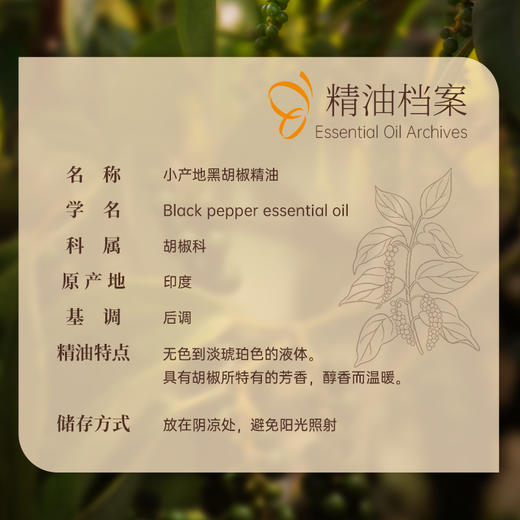 【双12大促】嘉媚乐黑胡椒精油  保湿锁湿肌肤  温暖窝心  放松全身  小产地单方精油 商品图2