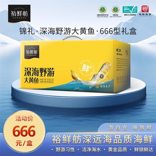 裕鲜舫 锦鲤666大黄鱼礼盒 大黄鱼原条300g*6条 1.8kg 商品图0