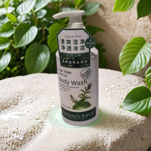 天然之扉茶树清爽滋养沐浴露 532ml/瓶 商品图0
