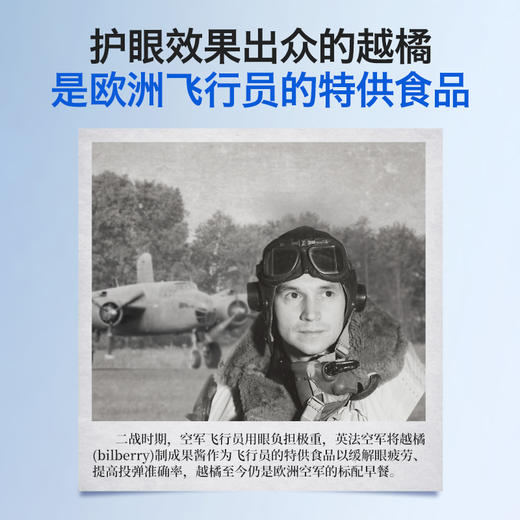 HYLLERS有机野生越橘粉 商品图4